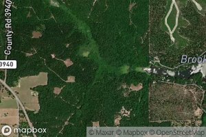 Carding Factory Branch