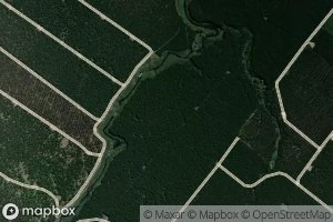 Mangakokomuka Stream