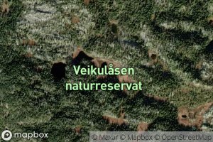 Eilevtjornan