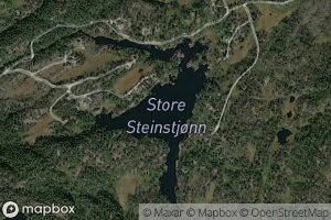 Steinstjonn,store