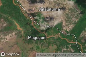 Magogoni
