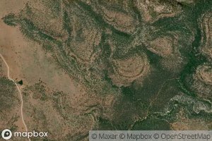 Charles Williams Spring