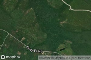 Slab Causeway Branch