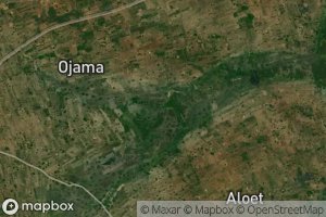 Ojama