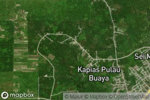 Sungai Kapiasbatu Delapan