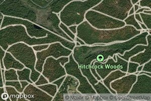 Bartons Pond (historical)