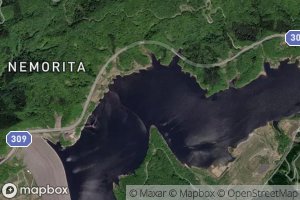 Moriyoshi-shikimi Ko