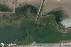 Colector Principal Numero Cuatro