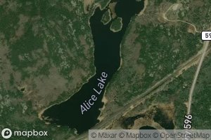 Alice Lake