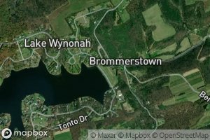 Lake Wynonah