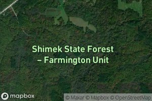 Shimek Forest Pond Two