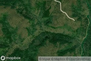 Beech Bingham Branch