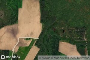 Left Fork Black Brook