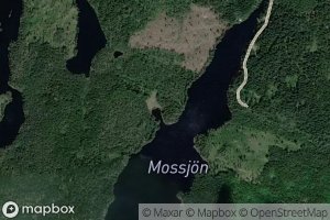 Mossjon