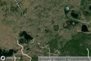 Archibald Tower Springs