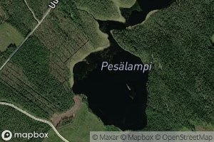 Pesalampi