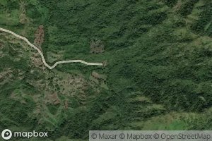 Arroyo Mapurito Arriba