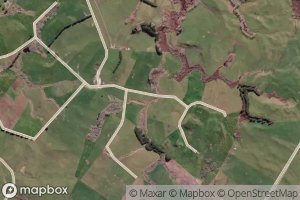 Tererengaongaio Stream