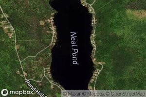 Neal Pond