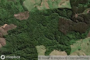 Mangarewarewa Stream