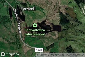 Forsvollvatna