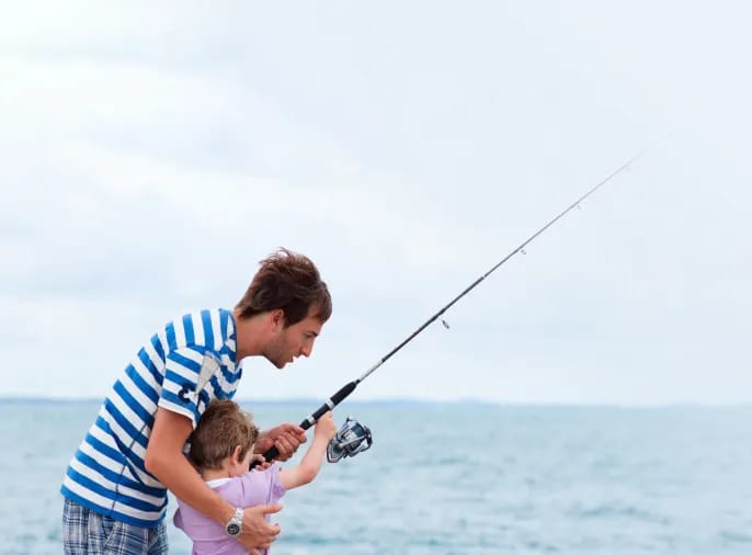 Download section image