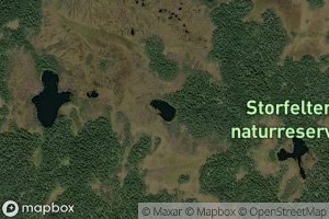 Ostre Storefelttjern