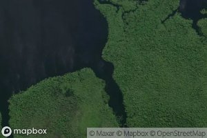 Igarape do Macaquinho