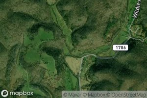 Scaffold Cane Branch