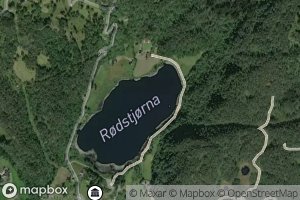 Rodstjorna