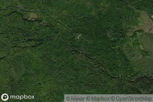 Back Branch Lower Trout Brook