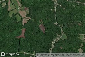 Little Lake in the Woods