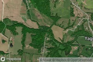 Hickory Grove Branch