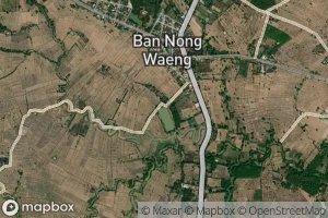 Nong Wang