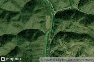 Polly Johnson Branch