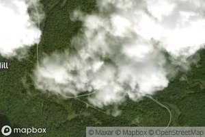 Blue Mountain Stream