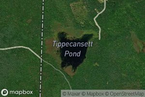 Tippecansett Pond
