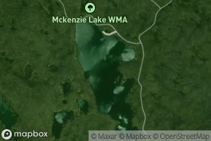 McKenzie Lake