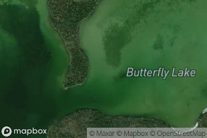Butterfly Lake