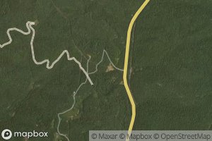 Hallie Basham Spring