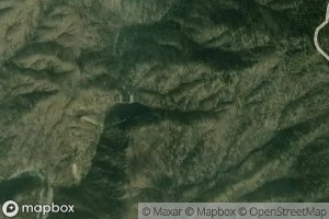 California Nutmeg Spring