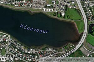 Kopavogur