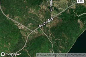 Puddington Lake Brook