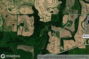 Upper Branch Yellow Creek