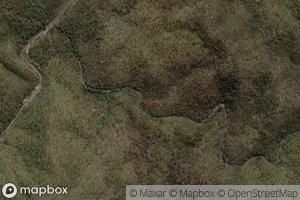 Little Cameron Creek