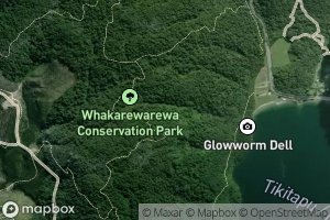 Lake Tikitapu (Blue Lake)