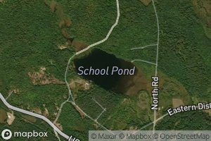 School Pond