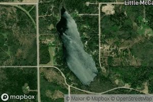 Little McCarthy Lake