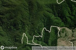 Kiriwhakapapa Stream