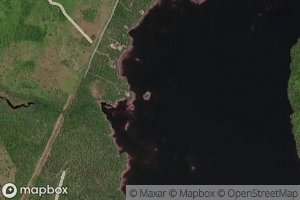 Freeman Meadow Brook